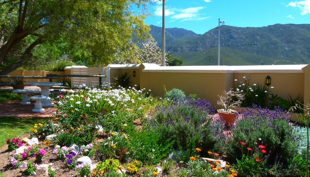 Anchorage Inn Guesthouse Montagu Dış mekan fotoğraf