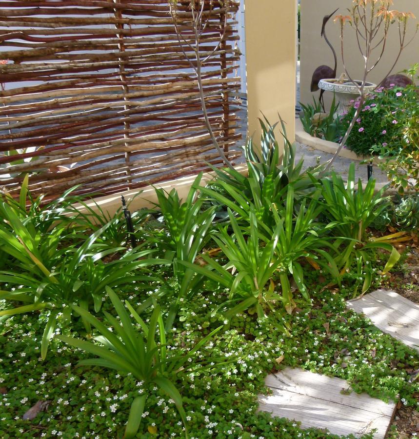 Anchorage Inn Guesthouse Montagu Dış mekan fotoğraf